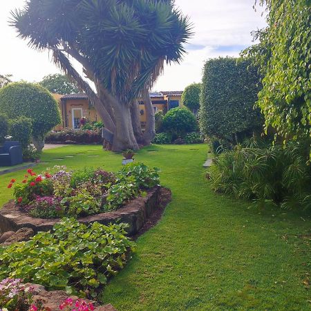 La Chimenea Verde Tacoronte Exteriér fotografie