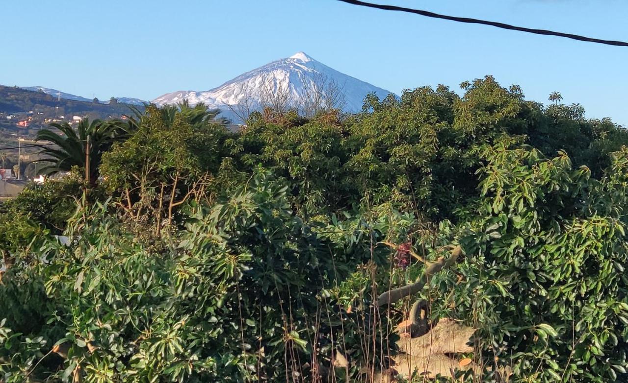 La Chimenea Verde Tacoronte Exteriér fotografie