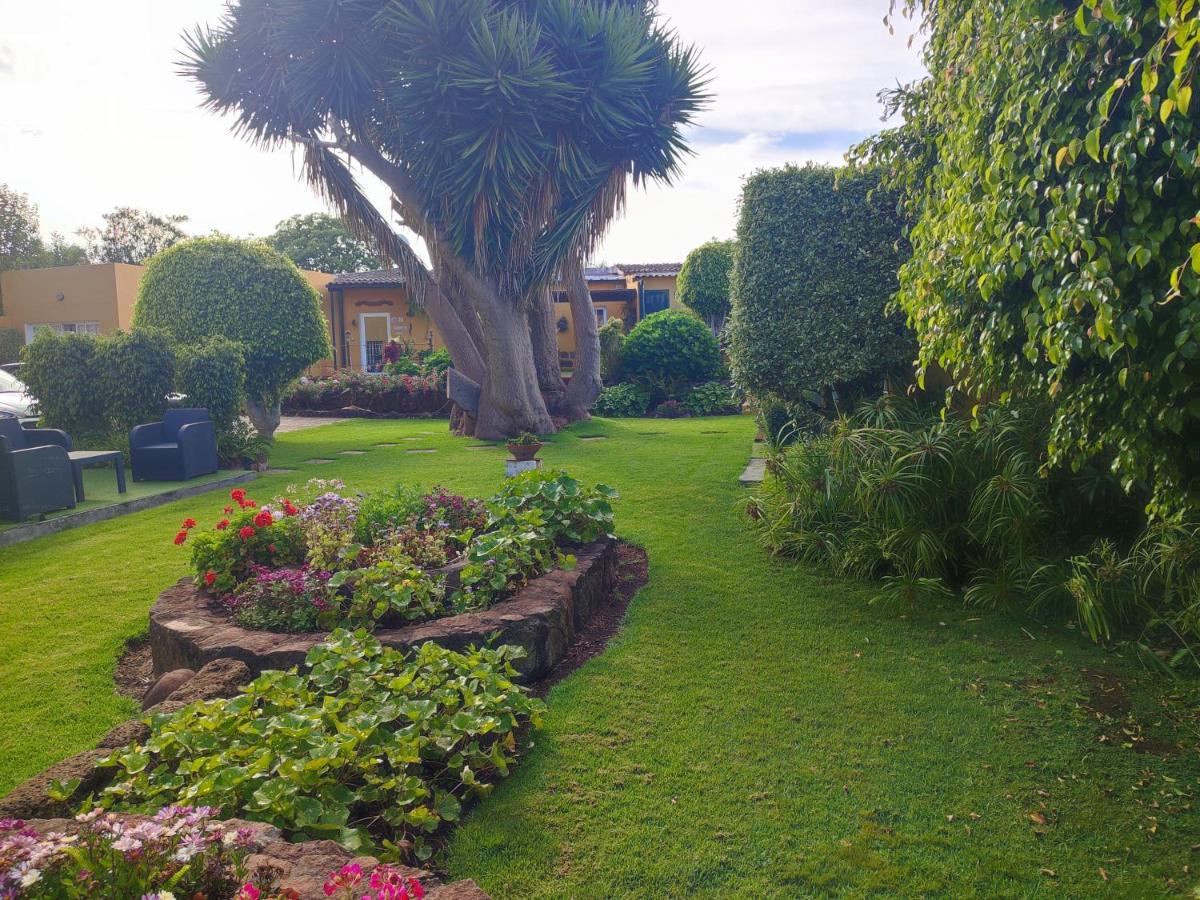 La Chimenea Verde Tacoronte Exteriér fotografie
