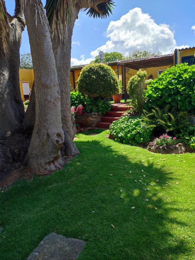 La Chimenea Verde Tacoronte Exteriér fotografie